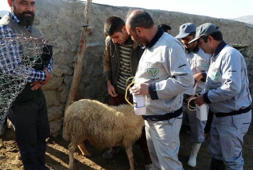آغاز رزمایش جهاد دامپزشکی در استان خراسان شمالی و پیش بینی ۴۵۰ هزار خدمت در ۳ روز 