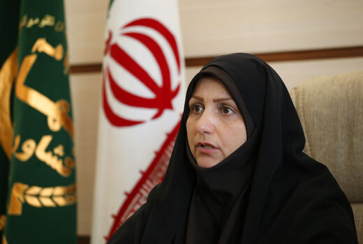 خسارت  2890  میلیارد ریال  تگرک و سرما به محصولات کشاورزی استان قزوین 