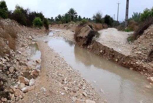 برآورد بیش از 7  میلیارد تومان خسارت به بخش کشاورزی قیروکارزین