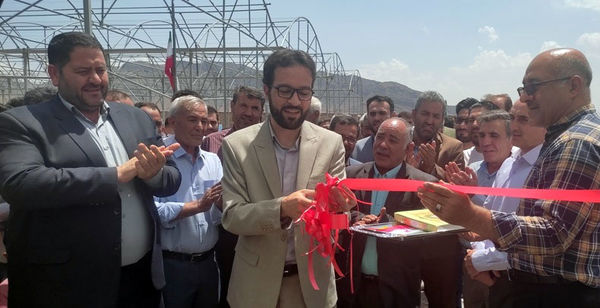 افتتاح و بهرهبرداری از گلخانه هیدروپونیک در شهرستان مرند