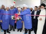 با حضور وزیر جهادکشاورزی 48 پروژه بخش کشاورزی یزد به بهره‌برداری رسید