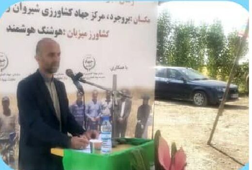 بخش کشاورزی در لرستان ۲۹ درصد اشتغال را تشکیل داده است/ تامین ۱۳ درصد تولید ناخالص ملی