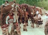 90 هزار نفر از عشایر داوطلب اسکان یافته اند