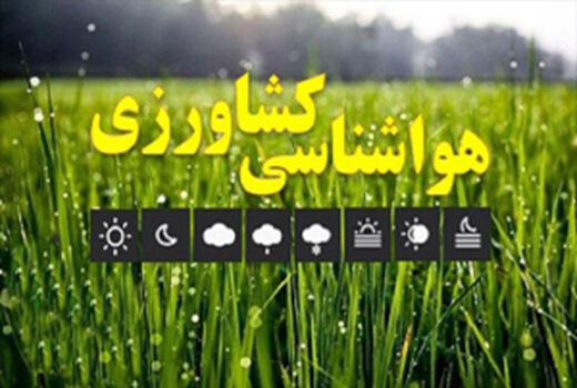 کشاورزان از انجام هرگونه عملیات محلول پاشی، سم پاشی و کود دهی در مزارع خودداری کنند