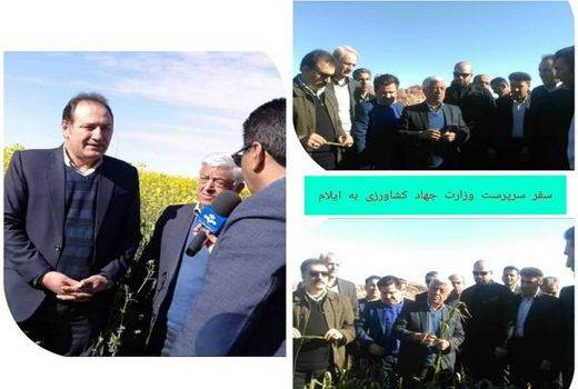 بازدید سرپرست وزارت جهاد کشاورزی از مزارع شهرستان دهلران 