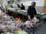 بیش از 9 هزار تن گوشت مرغ و بوقلمون در سه ماهه امسال روانه بازار چهارمحال و بختیاری شد