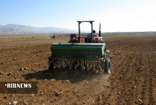 کشت پائیزه در 660 هکتار از اراضی کردستان