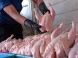 اجرای طرح خرید تضمینی گوشت مرغ با قیمت مصوب در سمنان