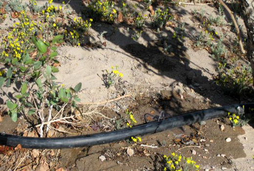 طرح 42 هکتاری آبیاری کم فشار در شهرستان راور افتتاح شد