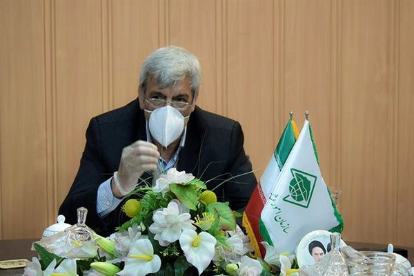 ۶۰۰ میلیارد تومان از محل صندوق توسعه ملی برای اجرای زنجیره تولید گوشت قرمز