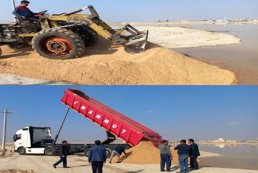 کشف و امحاء یک محموله نهاده دامی ناخالص در مرودشت 