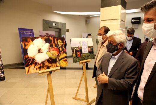 برگزاری نمایشگاه عکس و رونمایی از تمبر یادبود روز جهانی پنبه
