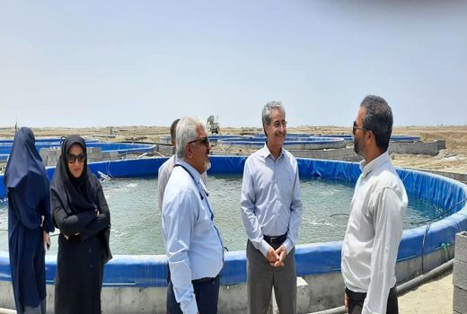 تا‌کید معاون ترویج بر نفوذ دانش و فناوری در حوزه شیلات کشور