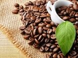 تبدیل تفاله قهوه به کود طبیعی در غزه