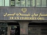 لزوم بازنگری در دریافت هزینه صدور گواهی حمل بچه‌میگو