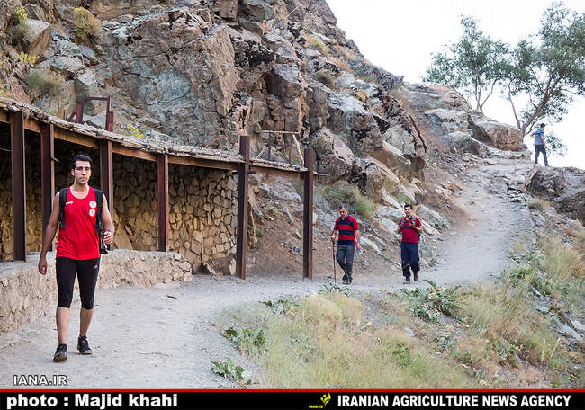 کوه پیمایی