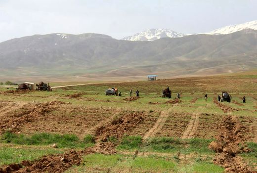 آغاز عملیات نهالکاری طرح بزرگ سودجان