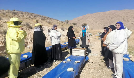 توانمندسازی اقتصادی زنان روستایی با تمرکز بر محصولات زنبور عسل در فارس