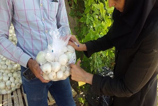 دریافت  59 پروانه استاندارد تشویقی توسط کشاورزان فارس