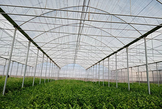 اولین شرکت تعاونی شهرک‌های کشاورزی کشور در قزوین ایجاد شد