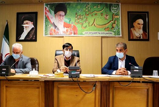 سه هزار هکتار از باغات استان کرمان تحت پوشش آبیاری کم فشار زیر سطحی قرار گرفتند