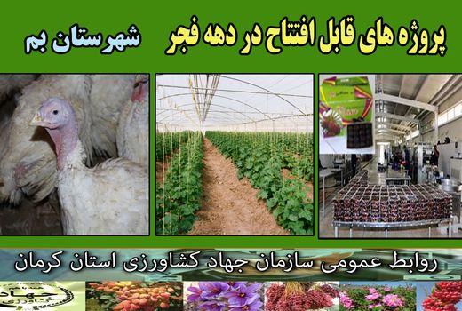 بهره‌برداری از 19 طرح کشاورزی و دامپروری در شهرستان بم 