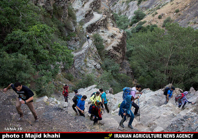 کوه پیمایی