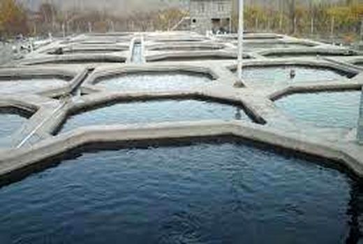 توزیع کود آبزی پروری در خرمشهر