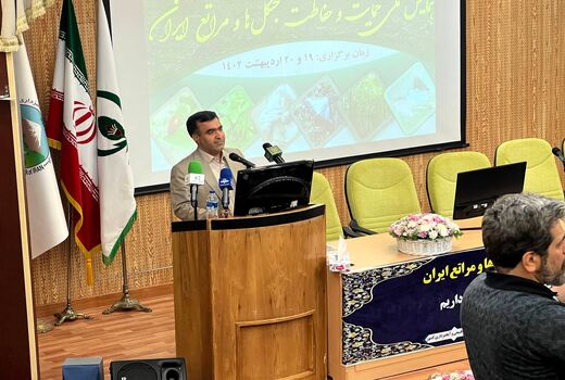 ارائه لایحه به دولت برای پررنگ شدن نقش مردم در حفظ محیط زیست