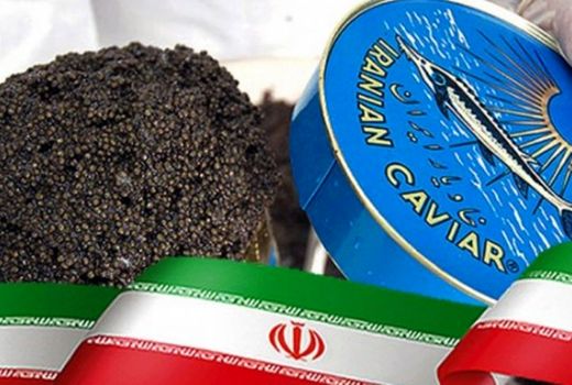 ۷ تن خاویار ایران به ۳۳ کشور صادر شد