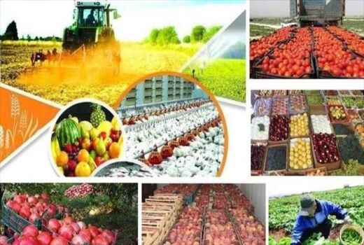 تعیین بسته حمایتی از کالاهای صادراتی بخش کشاورزی تا سقف  8000 میلیارد ریال 