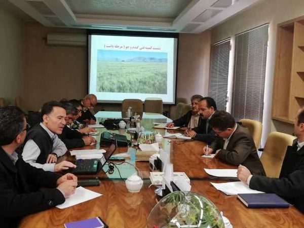 ضرورت اعلام سریع رخدادهای طبیعی در مرحله داشت غلات توسط اداره کل هواشناسی 