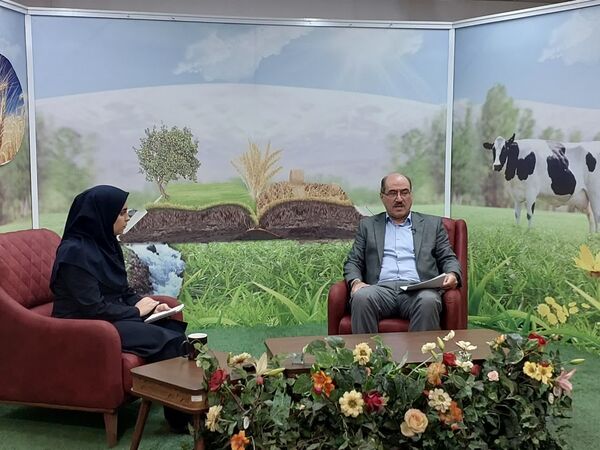 تامین و توزیع ۶۹ هزار تن کود اوره در ۹ ماهه نخست سال 1404 در آذربایجان شرقی