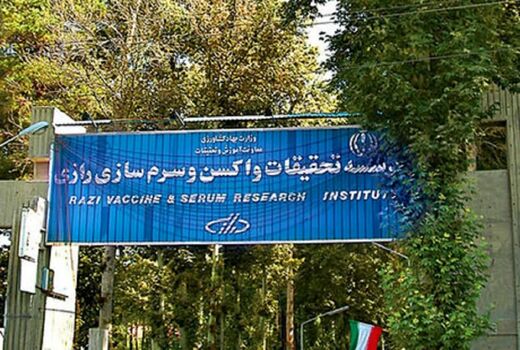 از سیاه‌مار تا کووید؛ رازی دوباره جان می‌بخشد/ صادرات فناوری‌های ایمنی‌درمانی به جهان