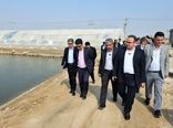 رشد ۲۳ درصدی تولید آبزیان در کشور