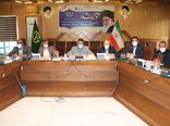  گلخانه‌ها توجیه اقتصادی دارند
