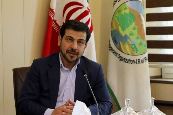85 درصد منابع طبیعی کشور به پوشش رادیویی مجهز میشود