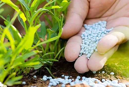 توزیع هفت هزار تن کود شیمیایی در آباده  