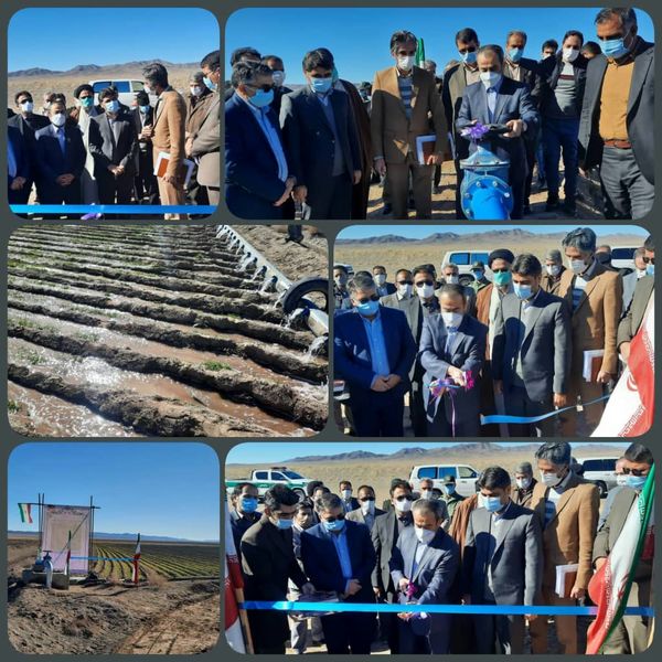 بهره برداری از ۱۴ طرح بخش کشاورزی شهرستان سربیشه به‌طور همزمان در دهه فجر