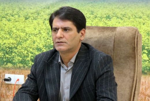 استفاده از نهال­‌های میکوریزی در احیاء و غنی‌سازی جنگل