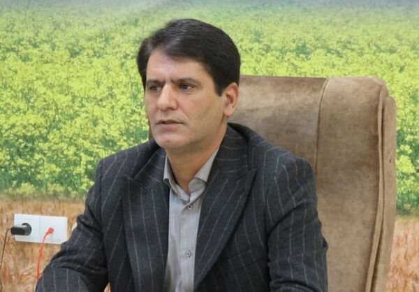 استفاده از نهال­‌های میکوریزی در احیاء و غنی‌سازی جنگل