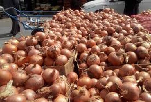 صادرات پیاز خوراکی از بندر چوئبده 