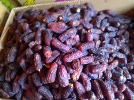 توسعه صادرات خرمای هرمزگان به کشور هندوستان