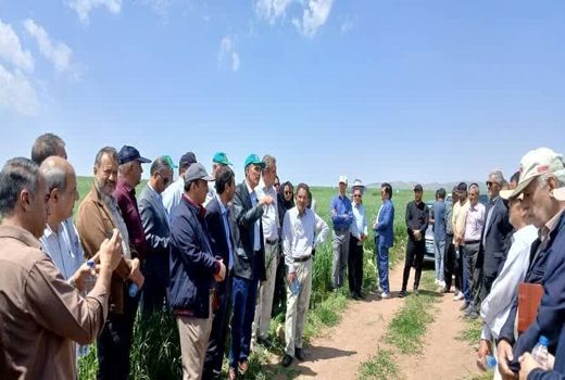 اجرای ۱۰۰ پایگاه نوآوری کشاورزی در کشور