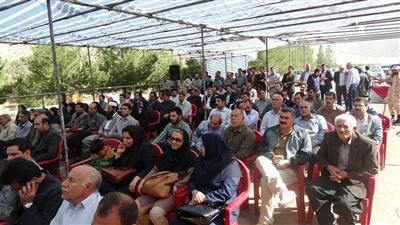 جشن برداشت سیب در بزرگ ترین باغ مدرن / ایجاد کلکسیون‌های جدید بادام یا ارقام میان رس دانه‌دار