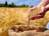 ادامه روند فعلی تخصیص ارز، امنیت غذایی کشور را تهدید می‌کند
