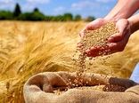 ادامه روند فعلی تخصیص ارز، امنیت غذایی کشور را تهدید می‌کند
