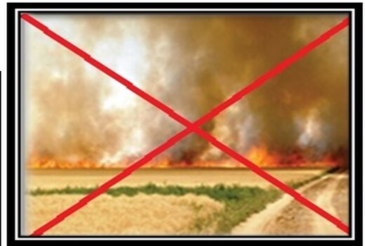 ارجاع پرونده متخلفان آتش‌زدن بقایای گیاهی در فارس به مراجع قضایی