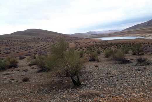 افزایش سرانه فضای سبز در چهارمحال و بختیاری