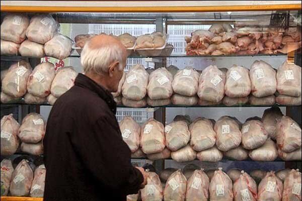 توزیع اینترنتی تخم‌مرغ در قزوین آغاز شد